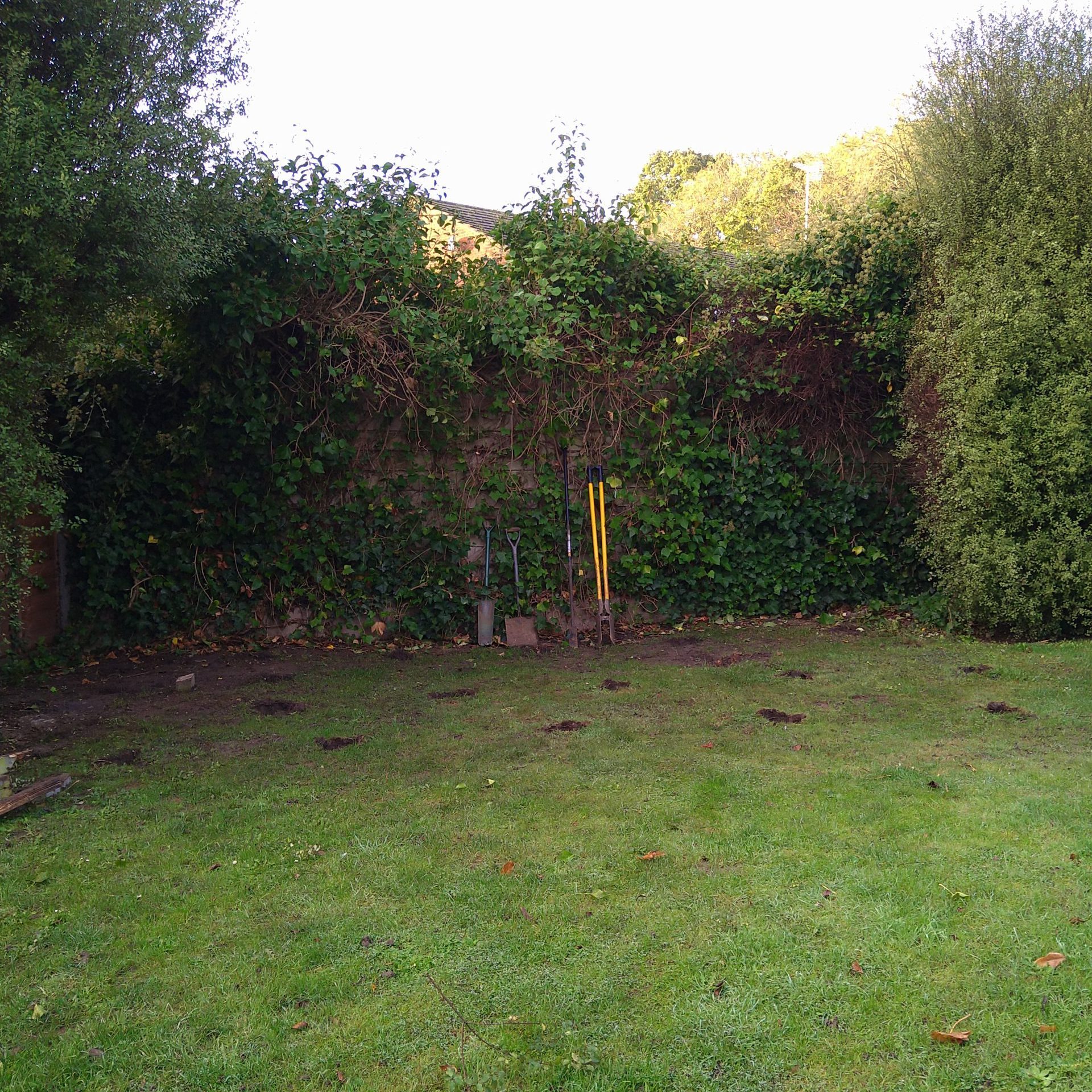 Orchard Garden Room in St Albans - Exterior Before (Need Backyard Garden )